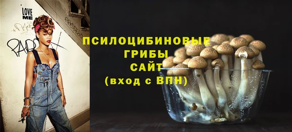 дживик Армянск
