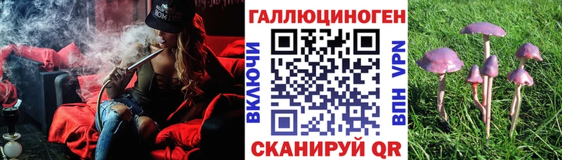 Псилоцибиновые грибы Magic Shrooms  закладка  mega как зайти  Темрюк 